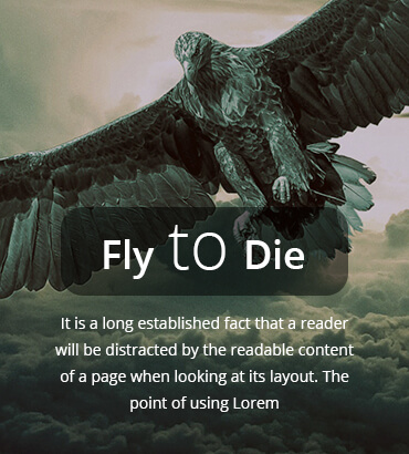 FLY TO DIE